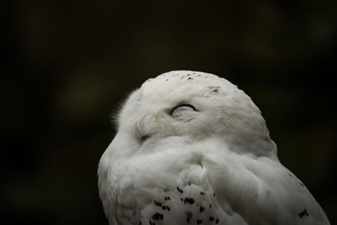 新同学,与“智能原生”同行
